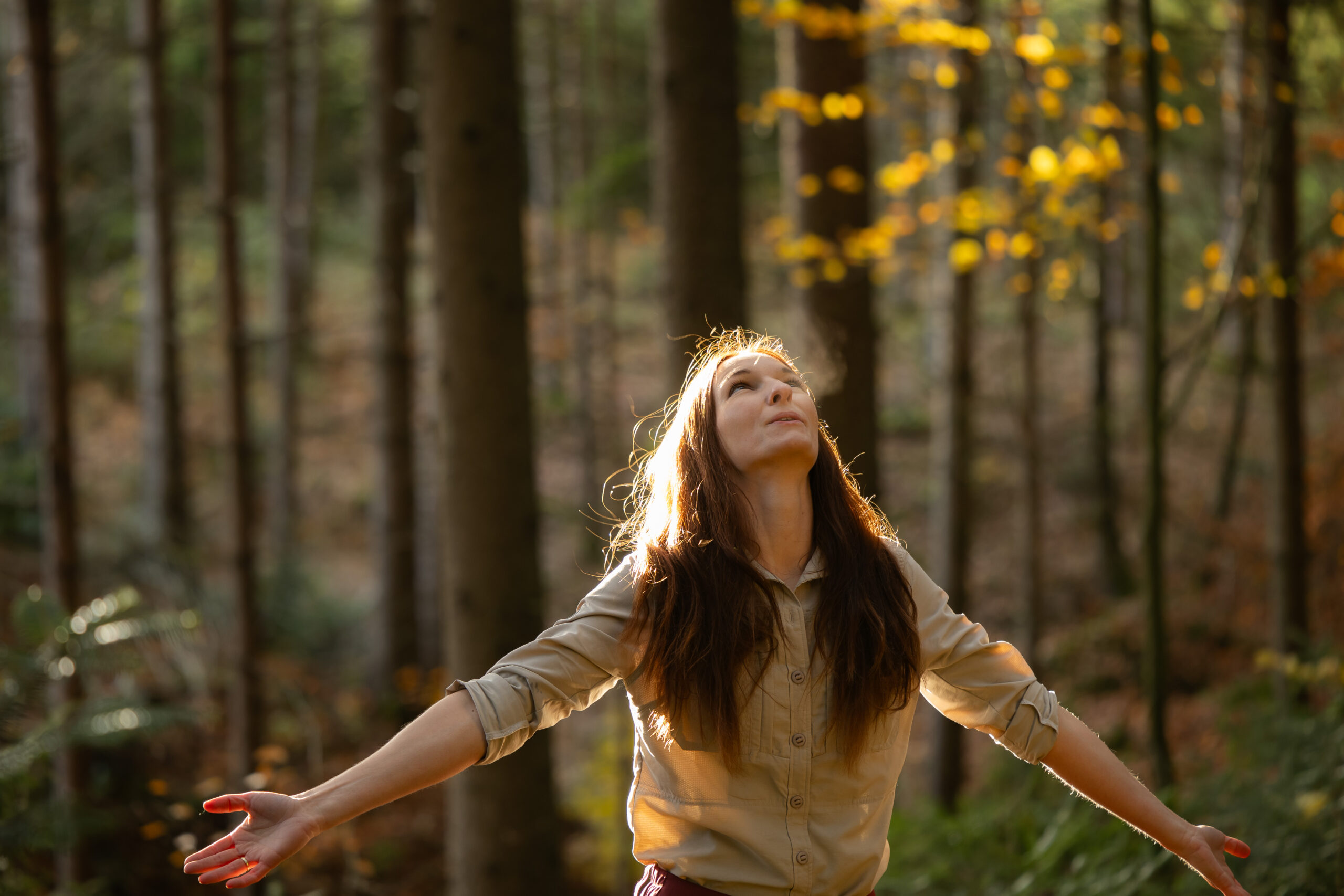 Arme öffnend, Wald, Glück