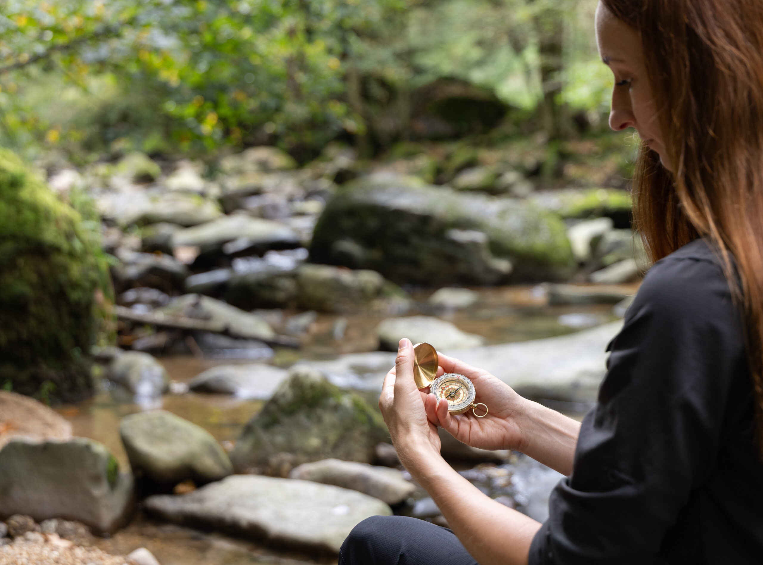 Kompass, Richtung weisend, mentale Richtung finden, mentaler Kompass