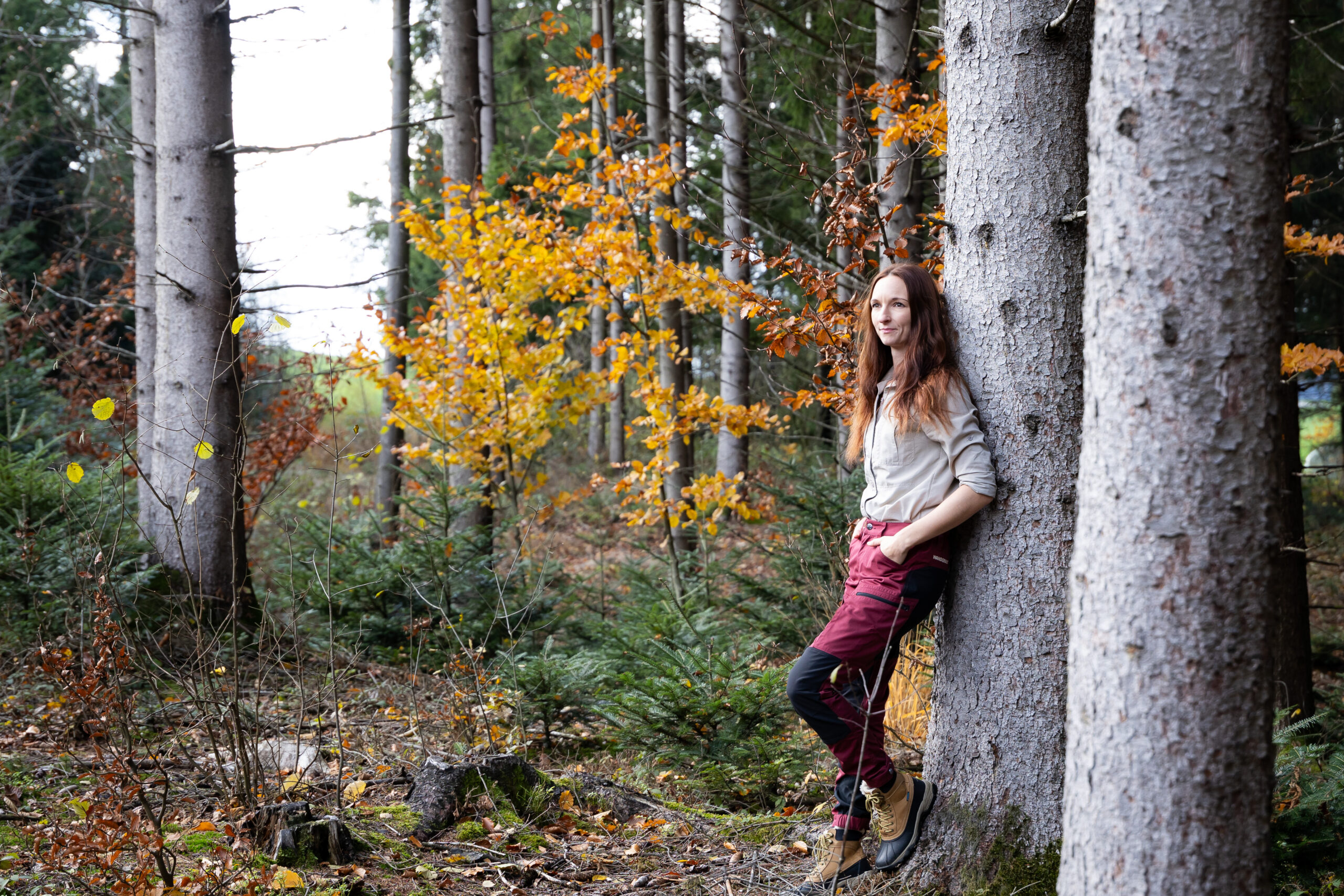 Mentaltraining im Wald - Outdoor Trainerin