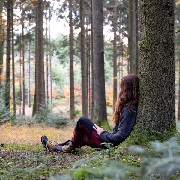 Wald